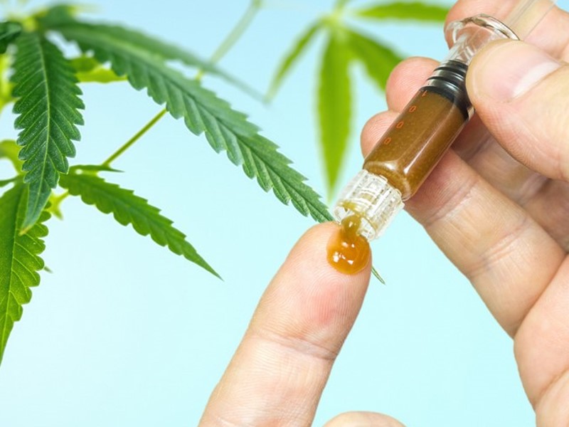 Konopljina pasta od ekstrakta konoplje