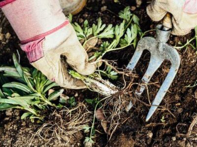 kvalitetan alat za vrt